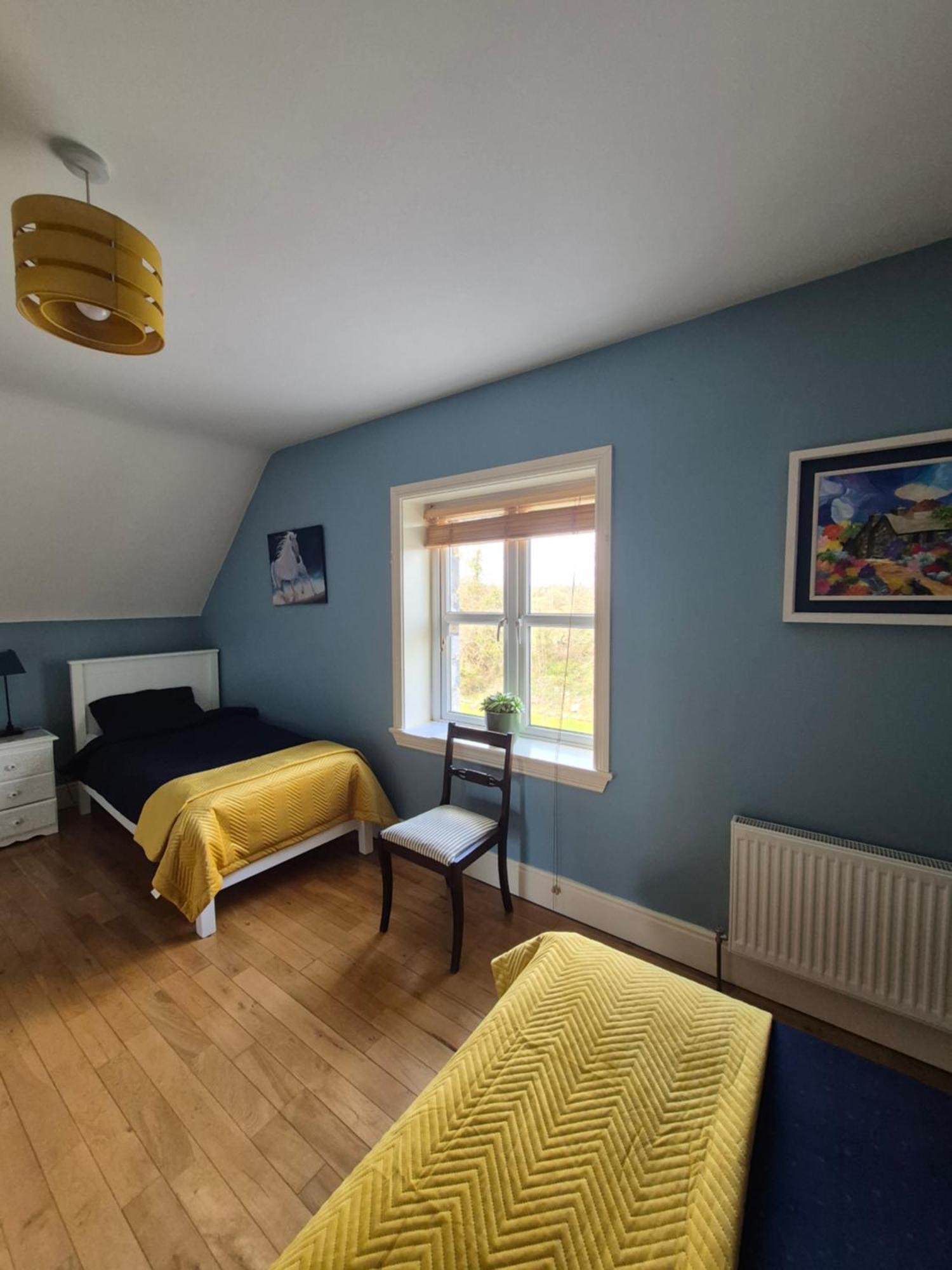 Ballinasloe Guest House In The Heart Of The Country Eksteriør bilde
