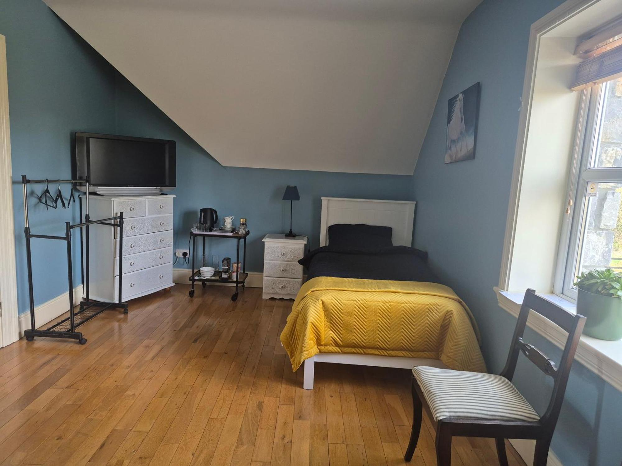 Ballinasloe Guest House In The Heart Of The Country Eksteriør bilde